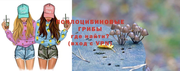 синтетический гашиш Богородск
