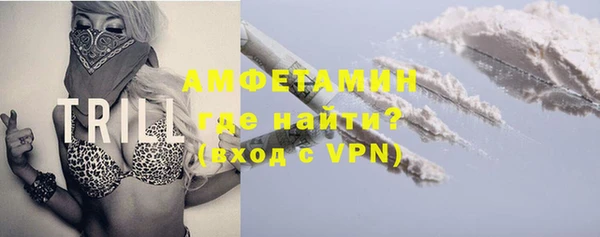 прущий лед Богданович