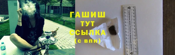 прущий лед Богданович