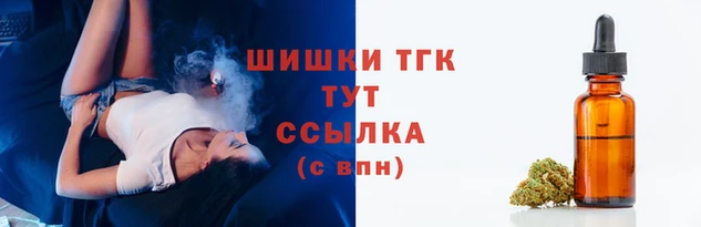 прущий лед Богданович