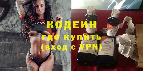 прущий лед Богданович
