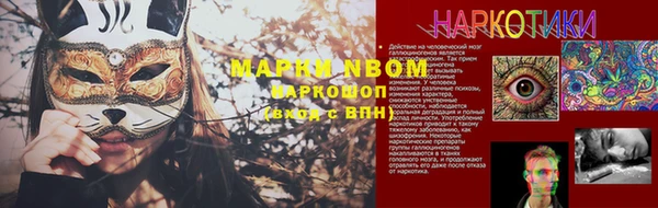 прущий лед Богданович