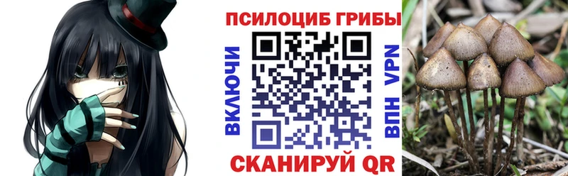 Галлюциногенные грибы прущие грибы  Дагестанские Огни 